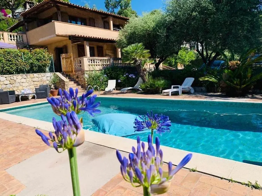 Villa Mon Reve Le Cannet